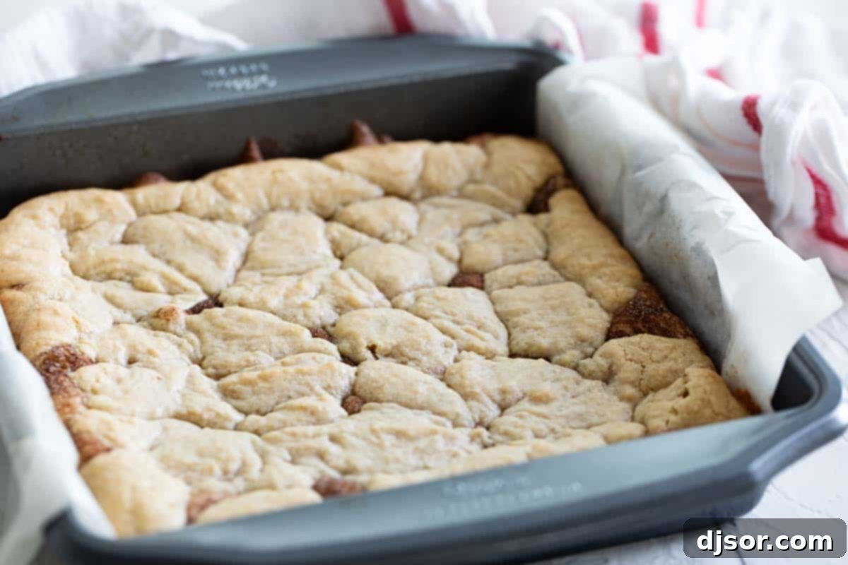 pan of snickerdoodle bars
