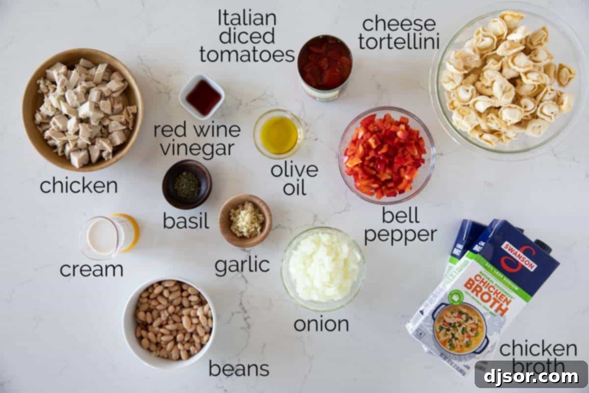 Ingredients for Chicken Tortellini Soup A collection of fresh ingredients laid out on a kitchen counter, including chopped onion, bell pepper, garlic, canned beans, diced tomatoes, chicken broth, chicken, and a package of frozen tortellini, ready to be transformed into a delicious Chicken Tortellini Soup.