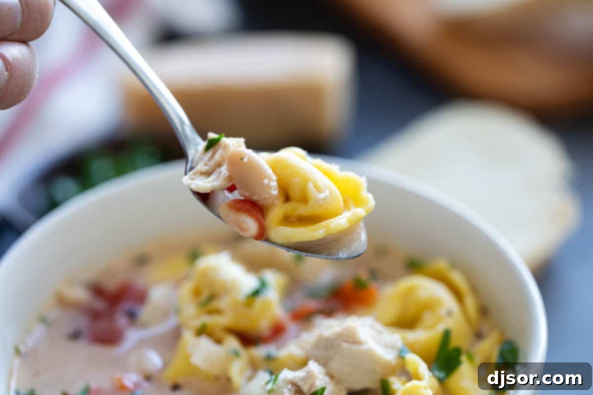 Spoonful of Chicken Tortellini Soup A spoon scooping up a delicious portion of Chicken Tortellini Soup, highlighting the pieces of chicken, tortellini, and vegetables in the flavorful broth.