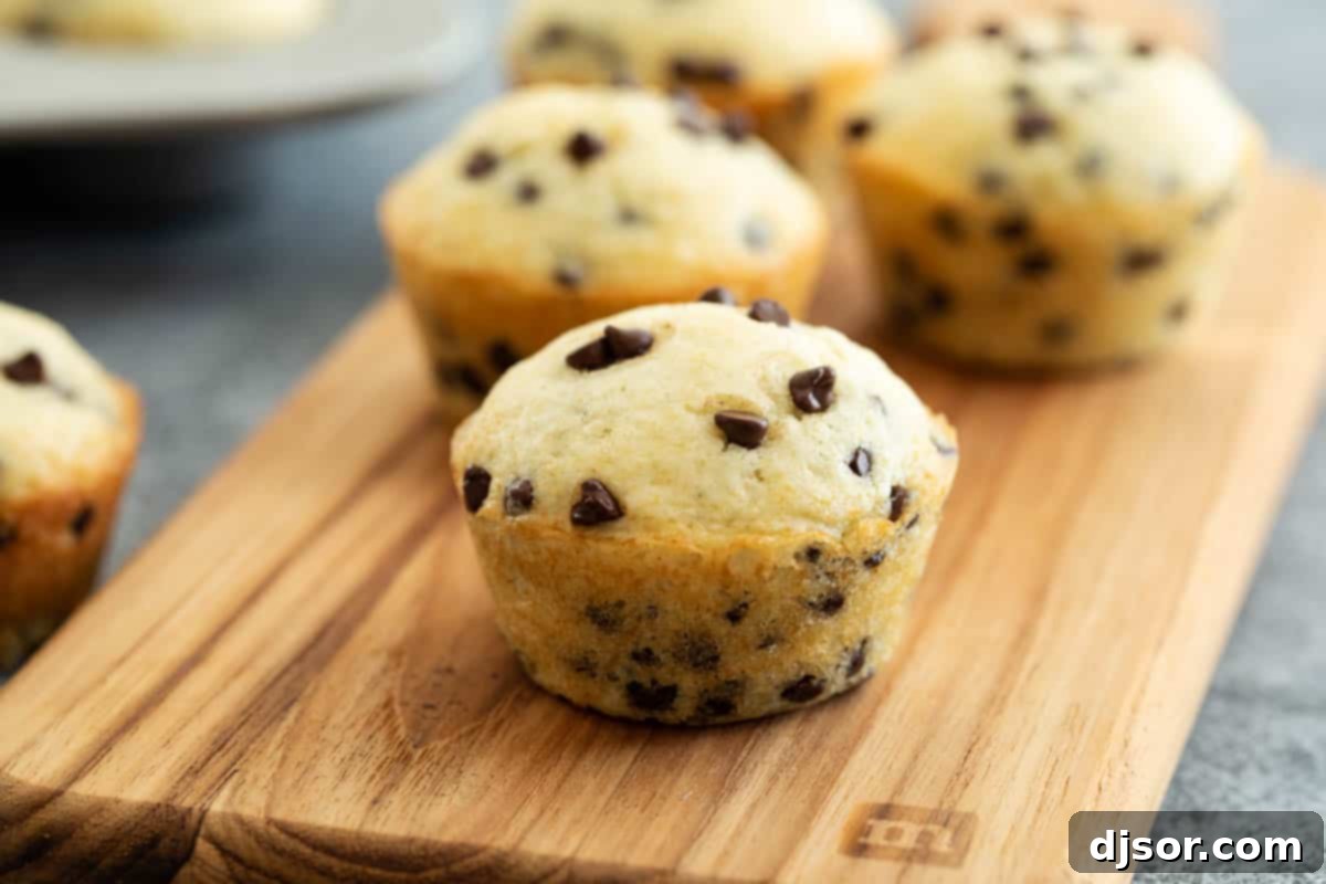 Delicious homemade chocolate chip muffins, perfectly golden brown and studded with melted chocolate chips, arranged on a cooling rack.