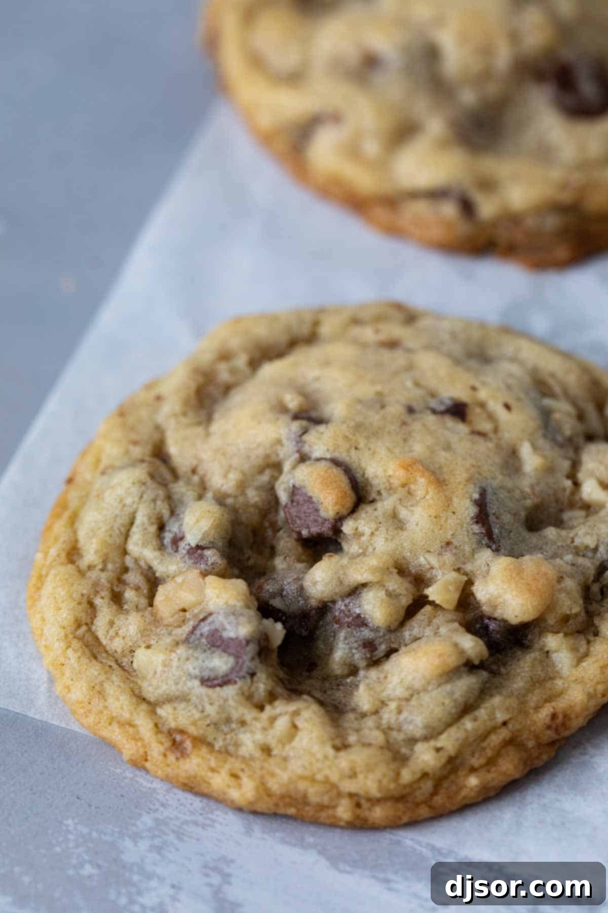Close-up of a warm, fresh-baked Copycat Doubletree Cookie, showcasing the melted chocolate chips and textured walnuts.