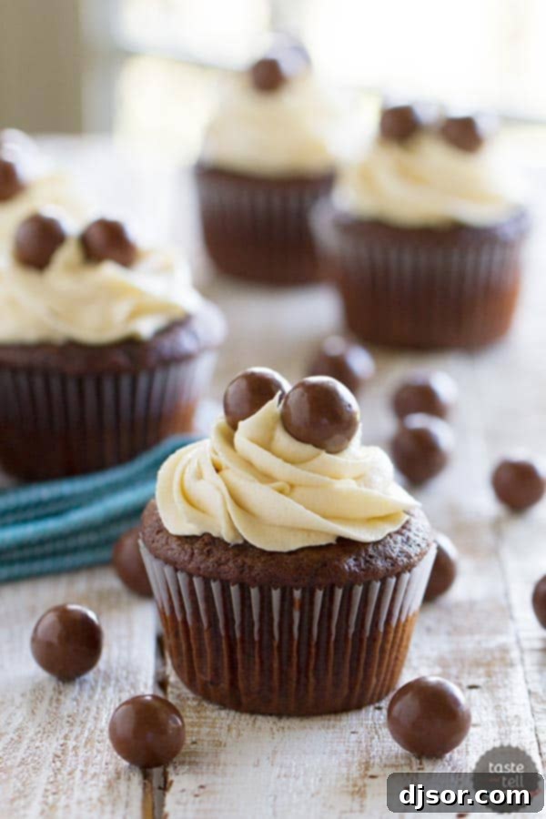 Rich Chocolate Malt Cupcakes topped with fluffy Vanilla Malt Buttercream, showcasing the delightful blend of chocolate and malt flavors.