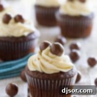 Chocolate Malt Cupcakes with Vanilla Malt Buttercream - rich chocolate cupcakes with a hint of malt are topped with a fluffy buttercream infused with even more malt flavor.