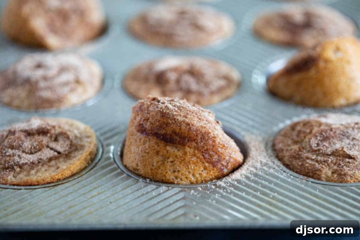 Freshly baked Cinnamon Muffins cooling in a muffin pan, still warm from the oven.