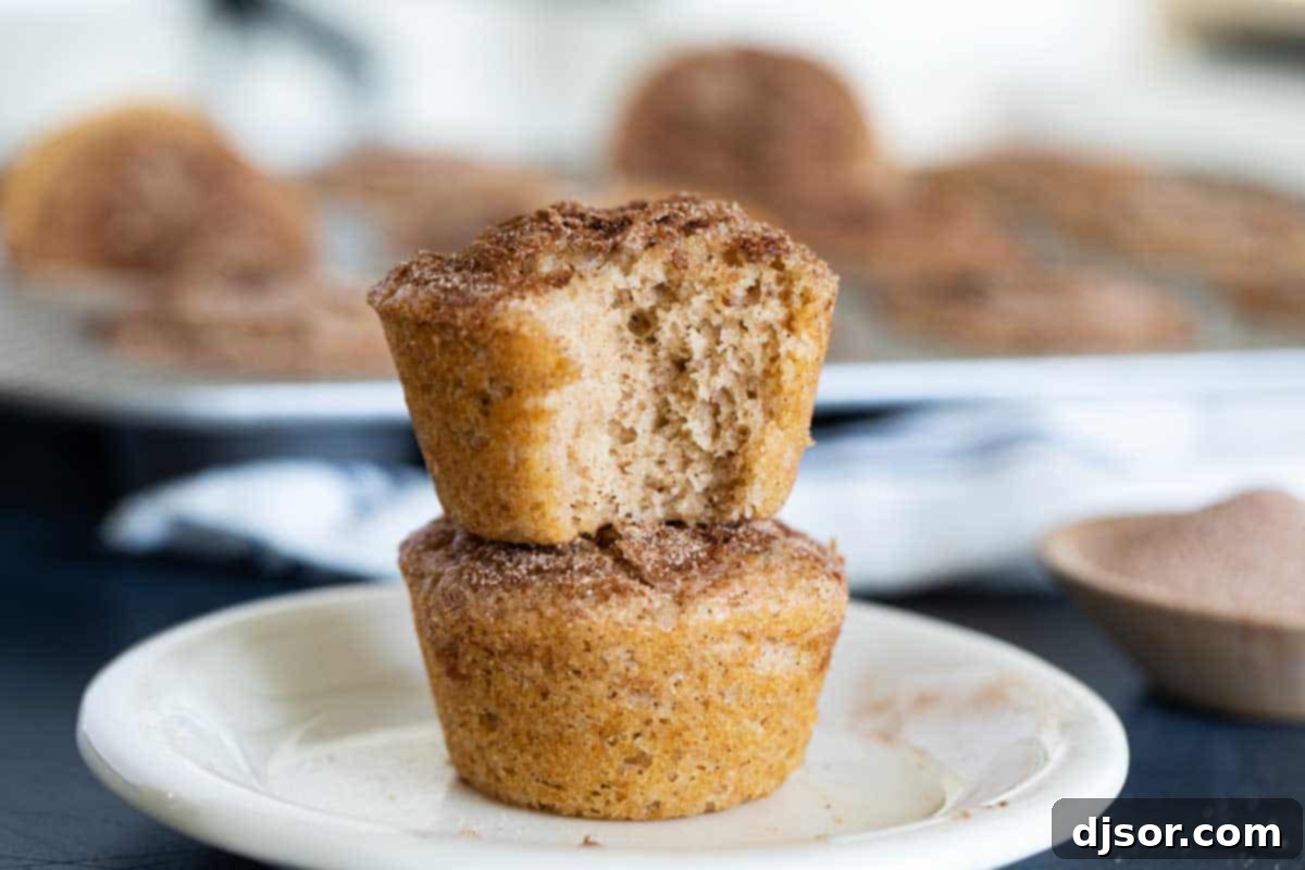 Two Cinnamon Muffins stacked on top of each other, one with a bite taken out, revealing its tender interior and cinnamon swirl. Set against a rustic background.