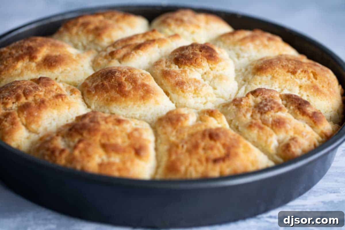 Close-up of golden-brown, perfectly fluffy homemade biscuits arranged in a baking pan.