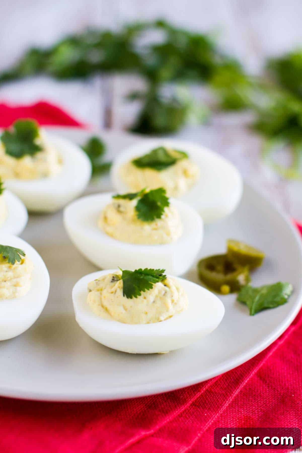 A serving platter of spicy southwestern deviled eggs, garnished with cilantro and a sprinkle of chili powder.