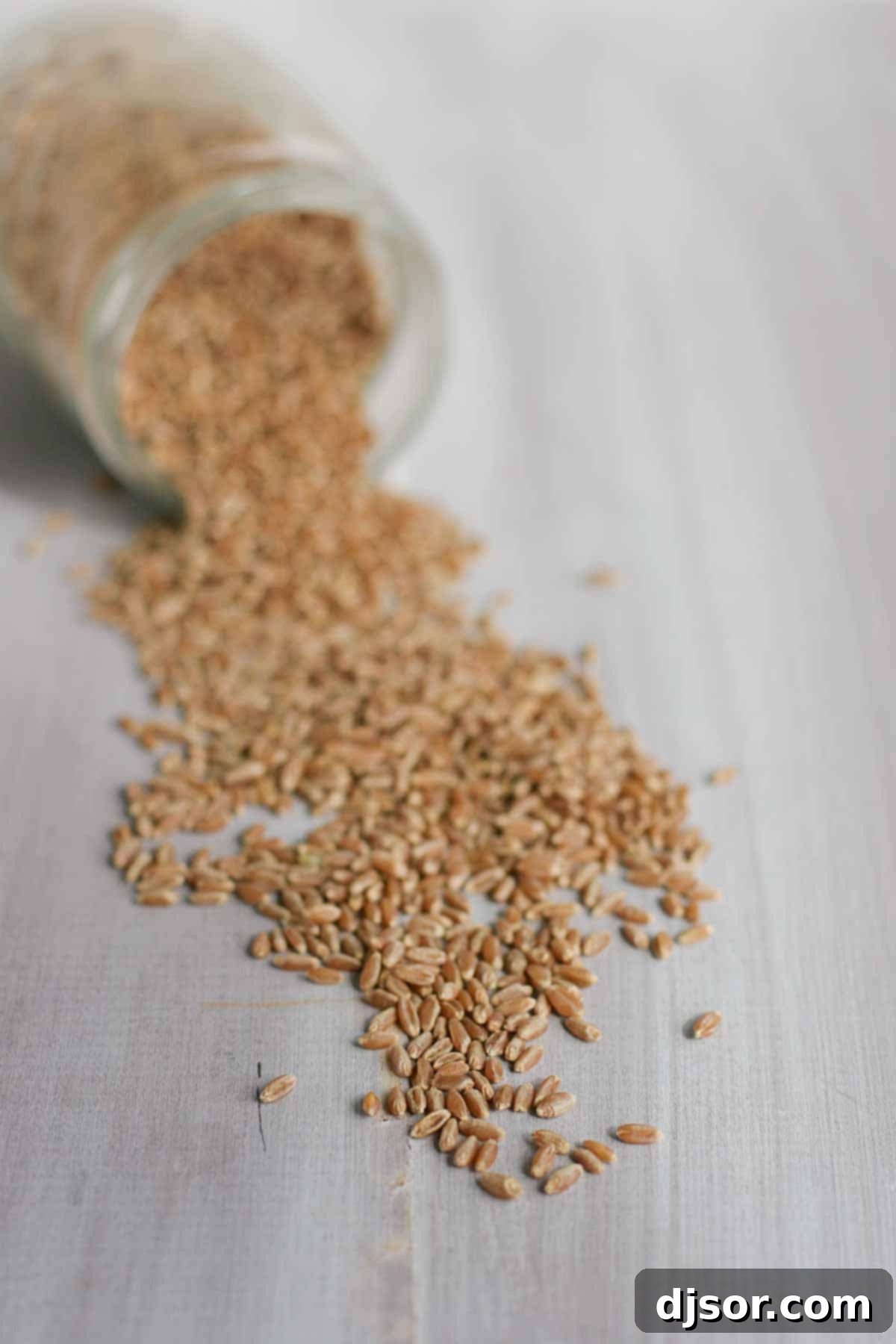 Whole Wheat Blender Pancakes - Use your blender to turn raw whole wheat into pancakes – the perfect breakfast! A close-up shot of raw whole wheat grains being poured from a glass jar, emphasizing the primary ingredient for the pancakes.