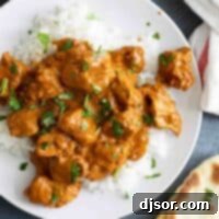 overhead view of Butter Chicken over rice with naan