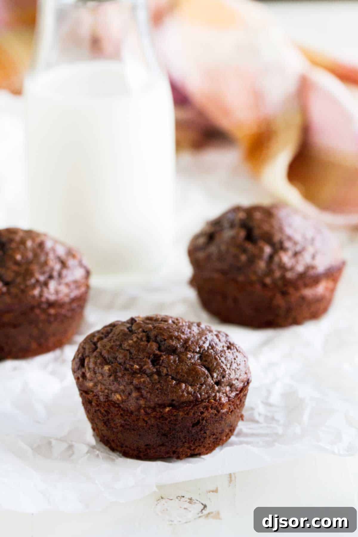 Oatmeal Chocolate Chip Muffins