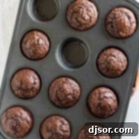 Cocoa Oatmeal Muffins in a Muffin Tin