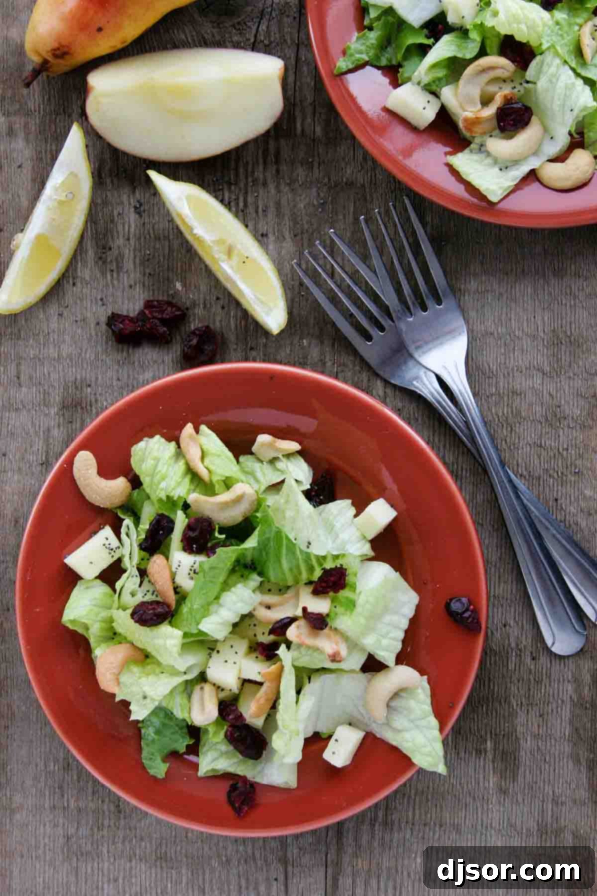 A beautifully plated Winter Salad showcasing fresh ingredients and a generous serving of homemade Lemon Poppy Seed Dressing.