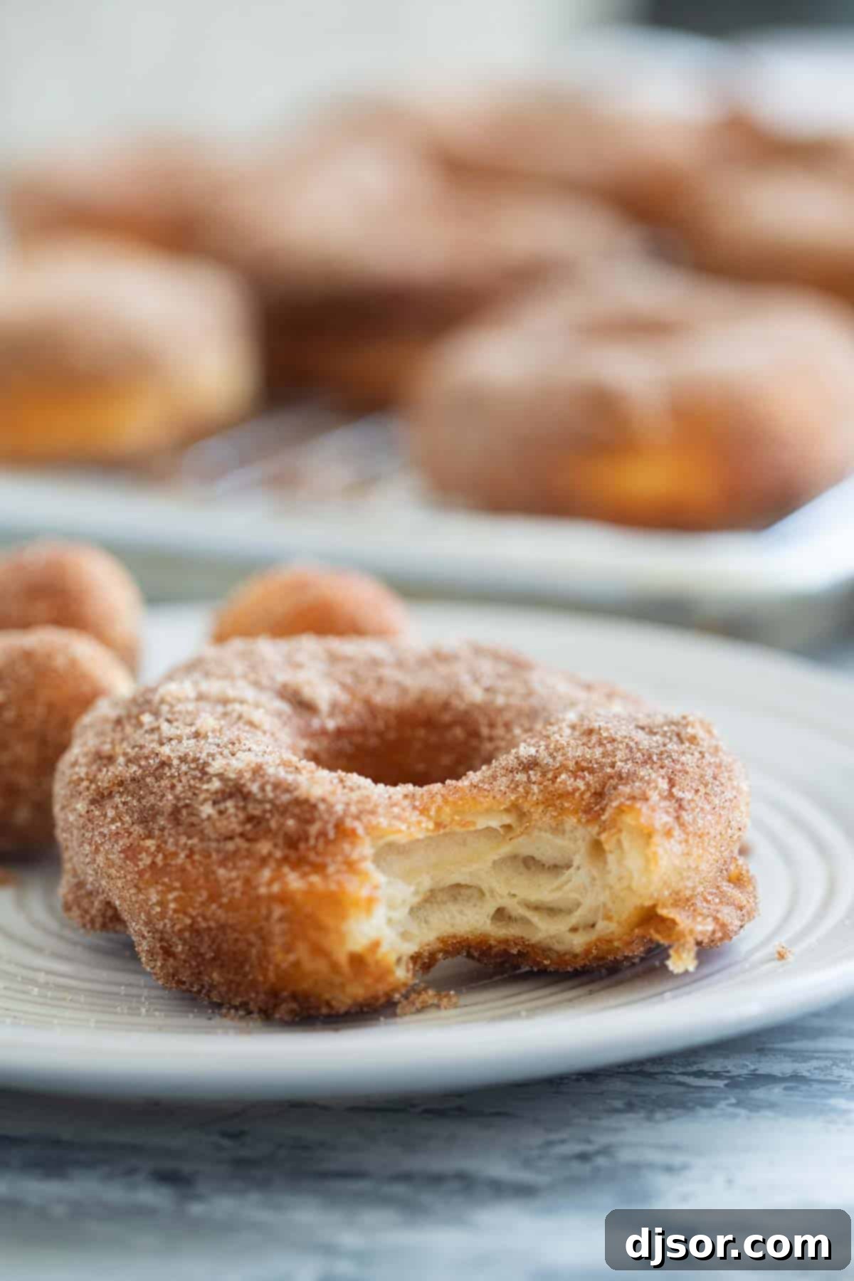 Golden Biscuit Doughnuts 8 A cinnamon sugar biscuit donut with a bite taken, resting on a white plate.