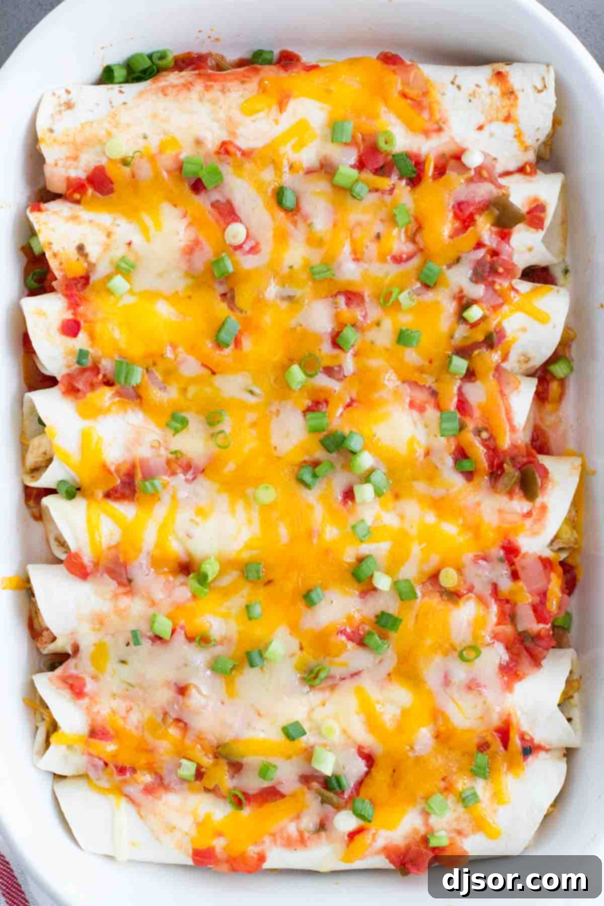 Creamy Chicken Enchilada Bake 3 A white casserole dish filled with golden-brown Cream Cheese Chicken Enchiladas, freshly baked and bubbling.