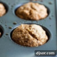 Wholesome Oatmeal Muffins 2 Golden-brown oatmeal muffins fresh from the oven, still in the baking tin.