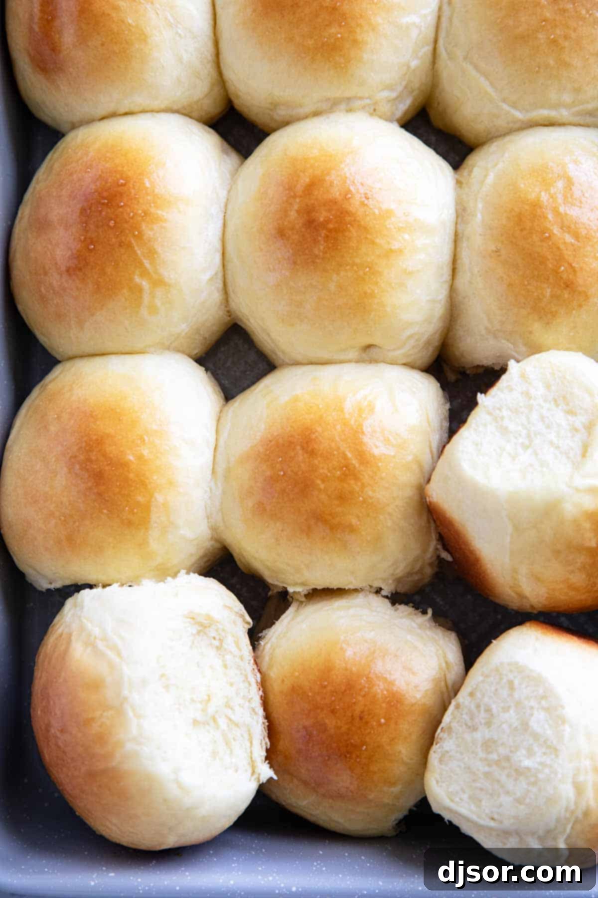 Freshly baked Brioche Rolls presented in a baking pan, ready to be enjoyed.