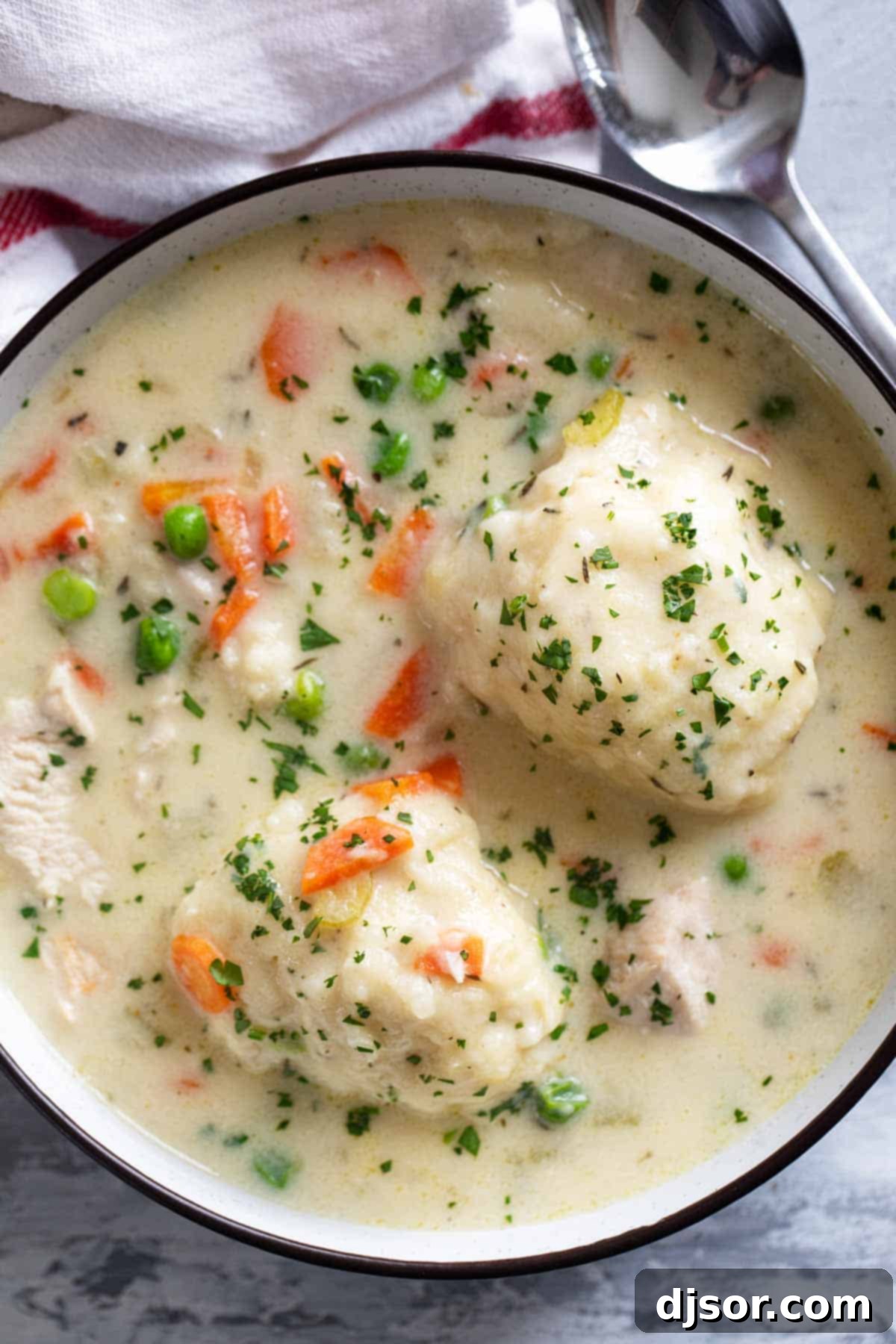 A large, inviting bowl filled with creamy chicken and dumplings, featuring two prominently fluffy dumplings and garnished with fresh parsley.