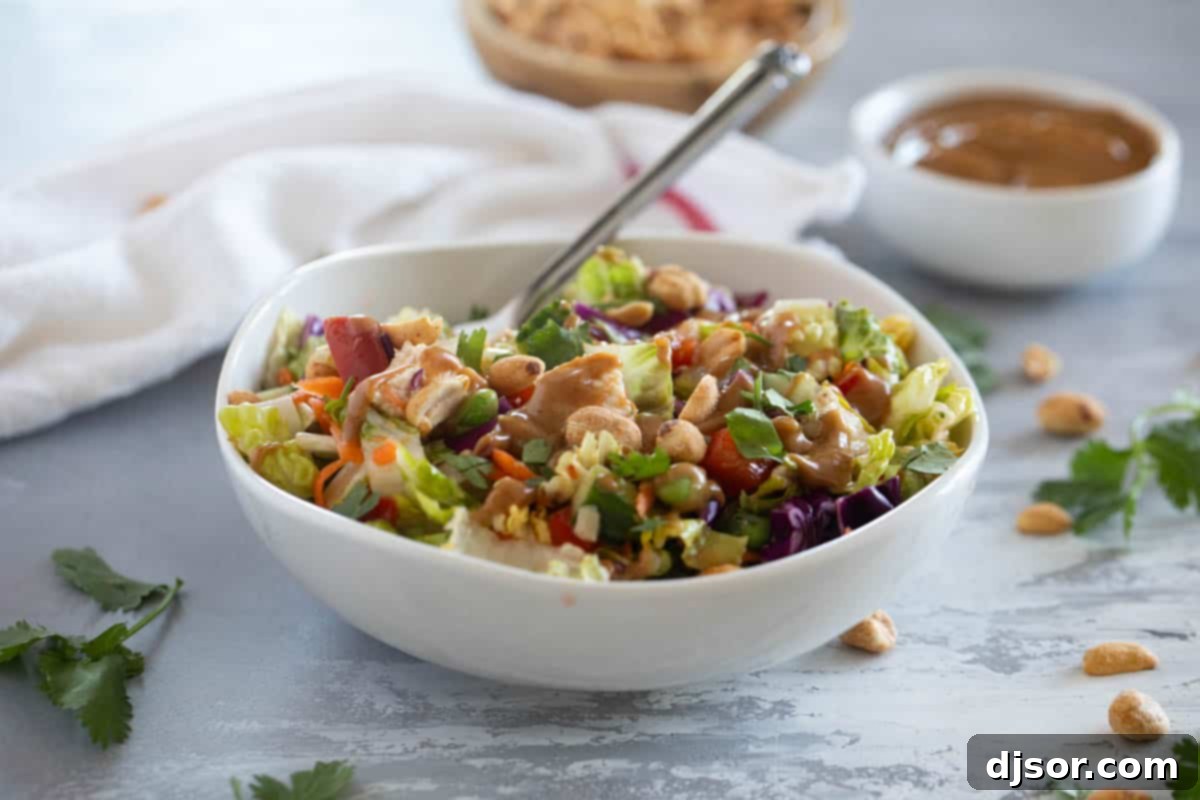 Vibrant Thai Chicken Salad 2 Bowl filled with Thai Chicken Salad, topped with peanut sauce, peanuts, and cilantro.