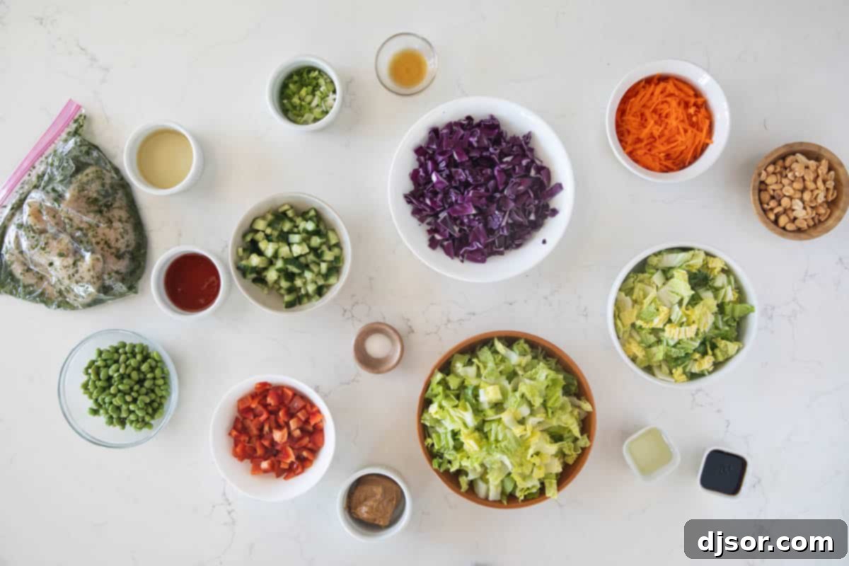 Vibrant Thai Chicken Salad 3 Ingredients to make Thai Chicken Salad.