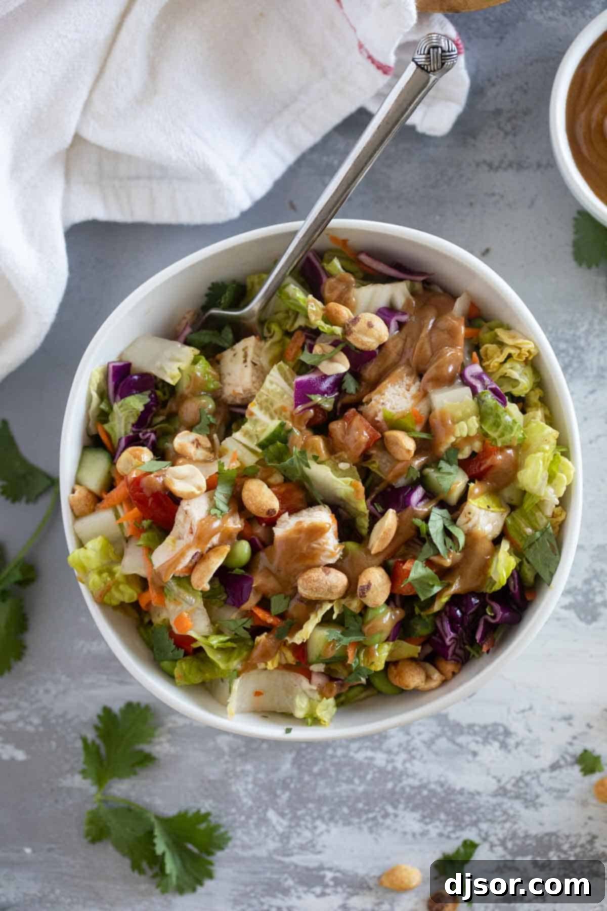 Vibrant Thai Chicken Salad 9 Bowl filled with Thai Chicken Salad topped with peanut sauce.