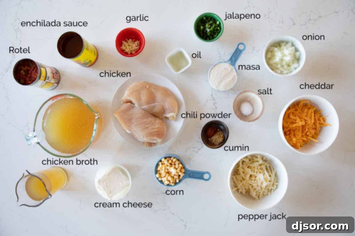 A curated arrangement of fresh and canned ingredients neatly laid out on a countertop, ready for preparing homemade chicken enchilada soup.
