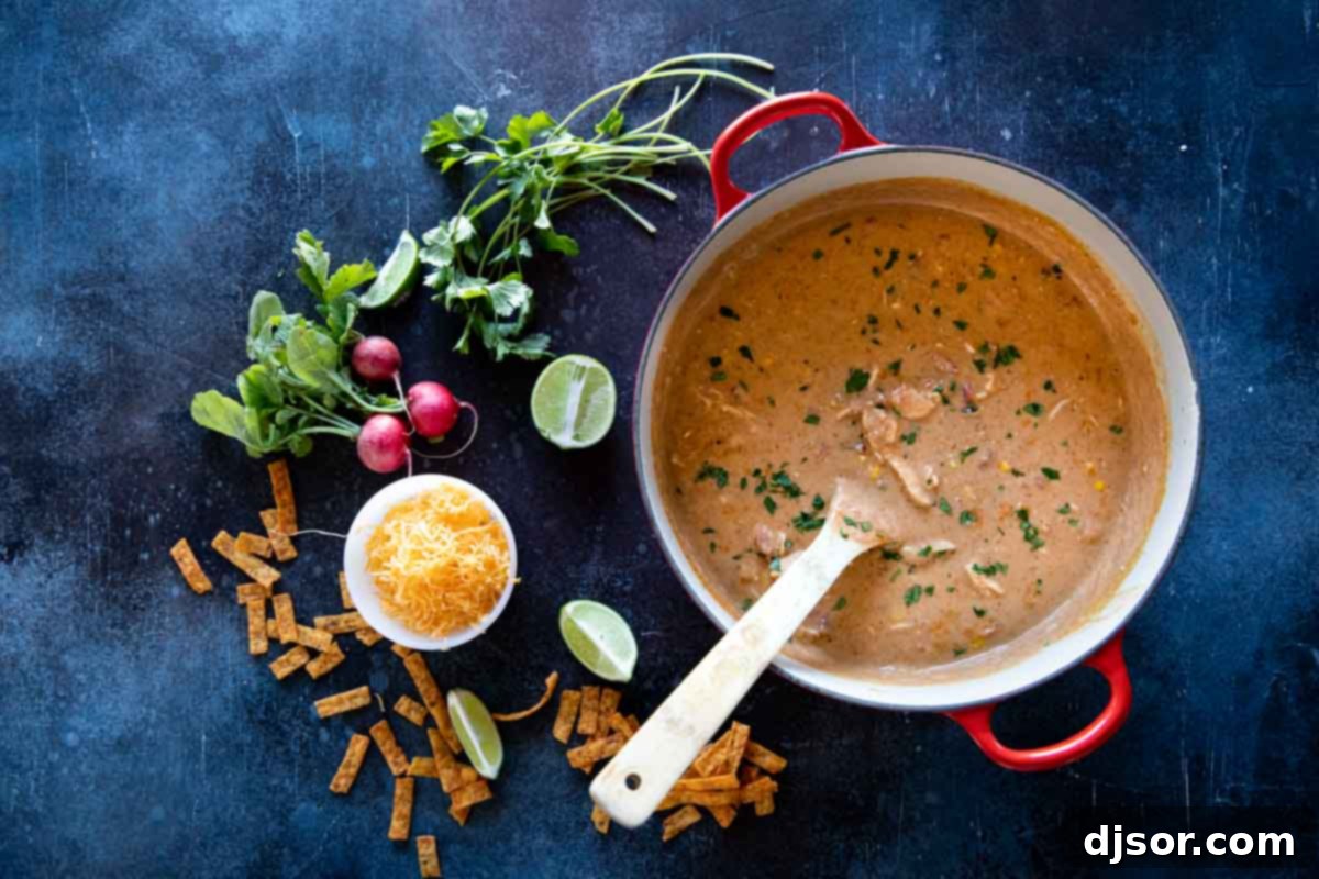 An inviting overhead view of a large pot of chicken enchilada soup, artfully surrounded by an assortment of fresh and colorful toppings, including sour cream, cilantro, and crispy tortilla strips.