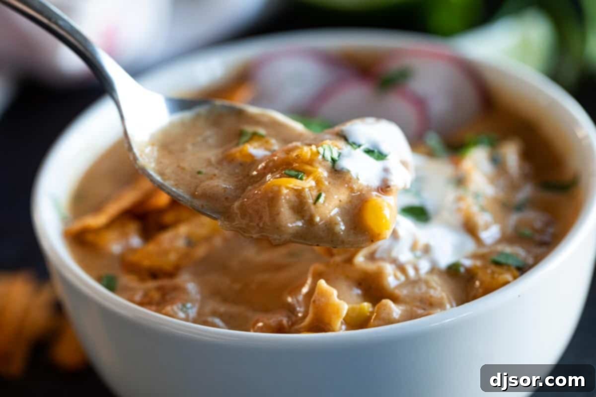A tantalizing close-up shot of a spoon dipping into a bowl of rich, creamy chicken enchilada soup, showcasing the delicious texture and hearty ingredients.