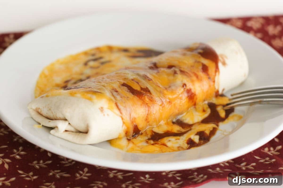 Chili Potato Burrito on a plate, covered in enchilada sauce and cheese, ready to eat.