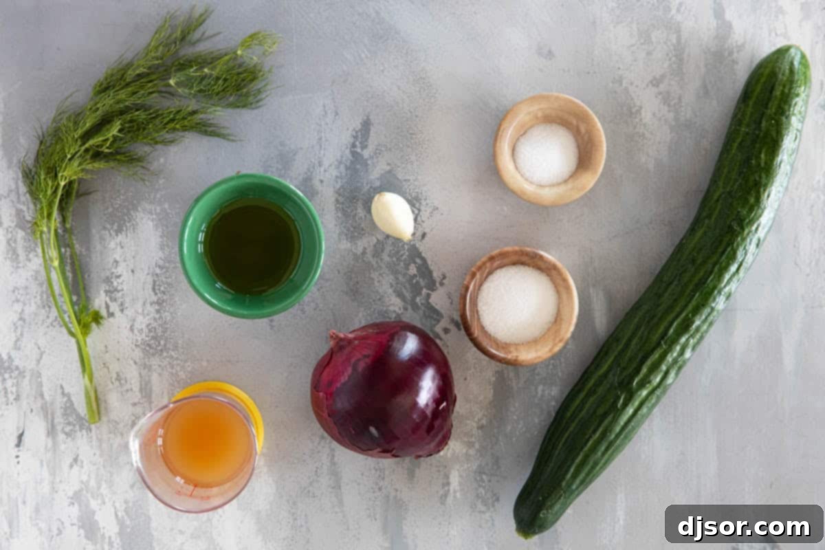 Refreshing Cucumber and Onion Salad 3 Ingredients to make Cucumber Onion Salad.