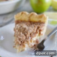 Velvet Tang Apple Pie 2 Slice of Sour Cream Apple Pie