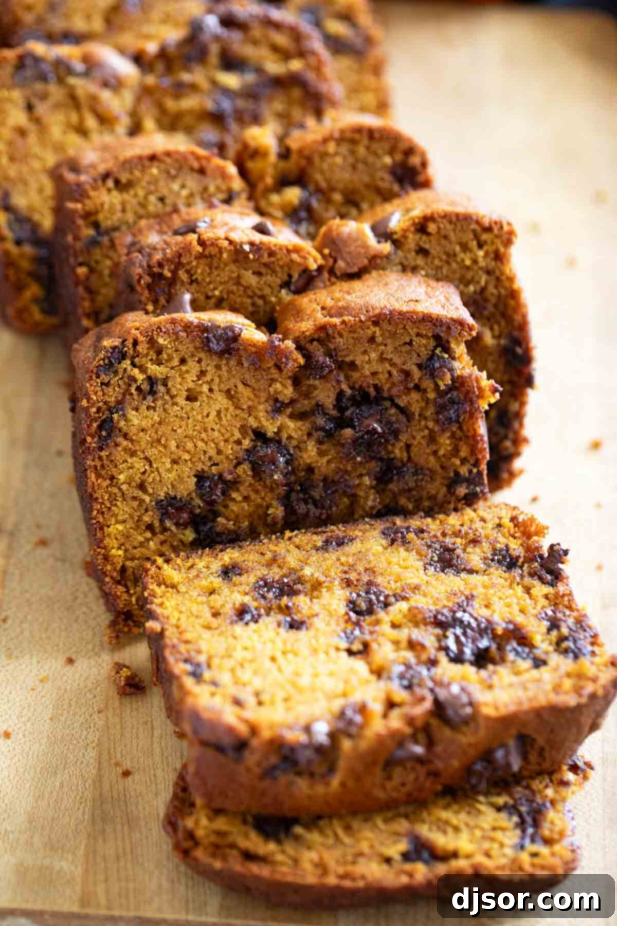 Chocolate Chip Pumpkin Bread 2 Slices of freshly baked Pumpkin Chocolate Chip Bread, revealing a moist texture and abundant chocolate chips.