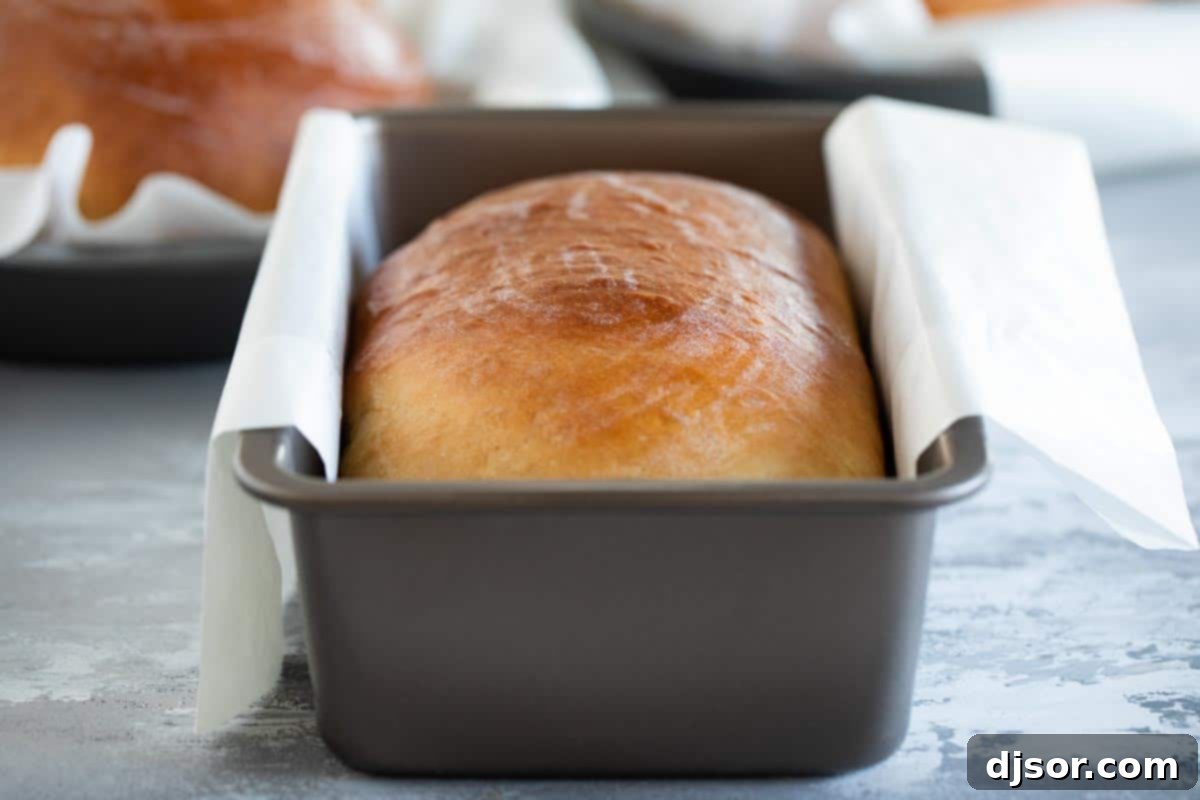 Soft and slightly sweet, this Hawaiian Bread is the perfect side dish to any Hawaiian meal. Serve it up as a side with butter, and save a loaf for French toast the next day! A freshly baked Hawaiian Sweet Bread loaf, golden brown and perfectly risen, resting in a traditional loaf pan.