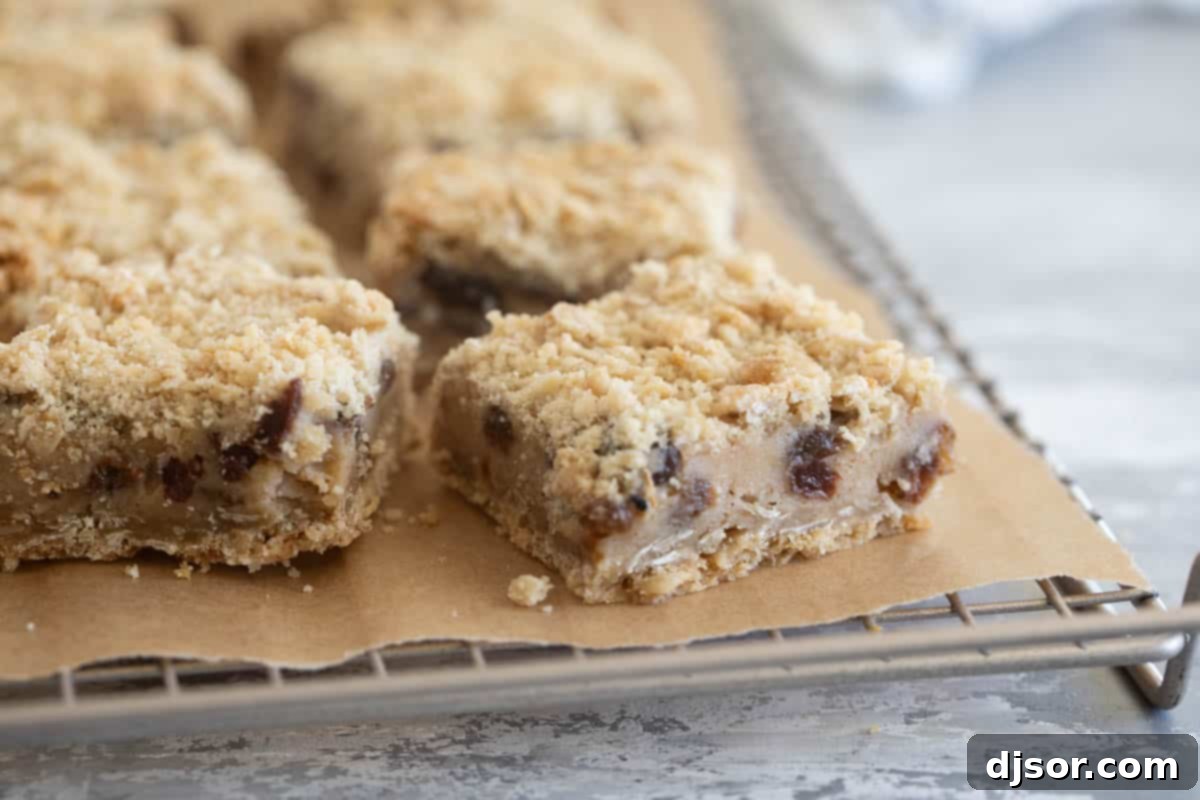 Golden Oatmeal Raisin Squares 2 Freshly baked Oatmeal Raisin Bars cooling on a wire rack.