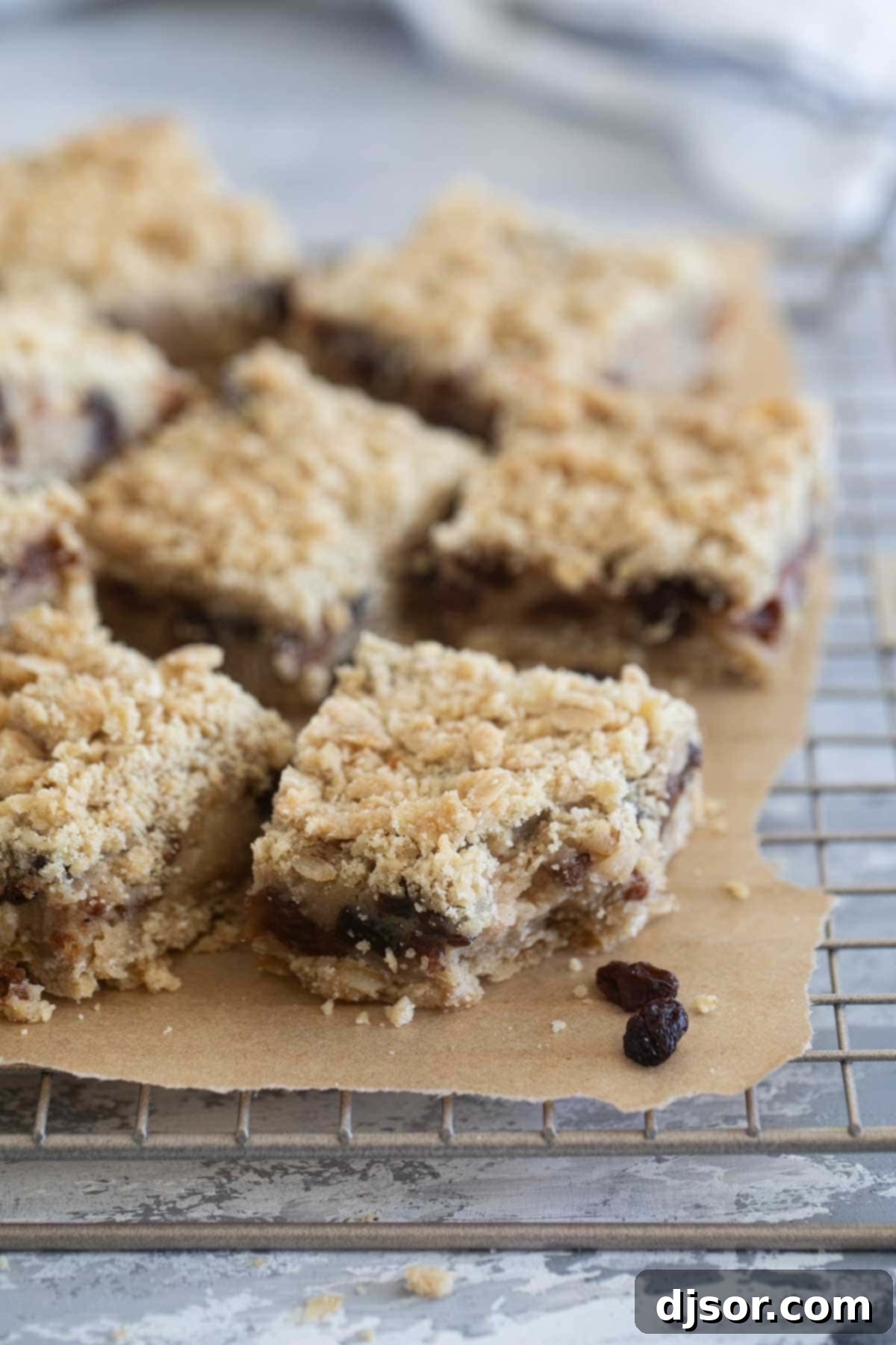 Golden Oatmeal Raisin Squares 9 Oatmeal Raisin Bars on a cooling rack, with one bar having a bite taken out.
