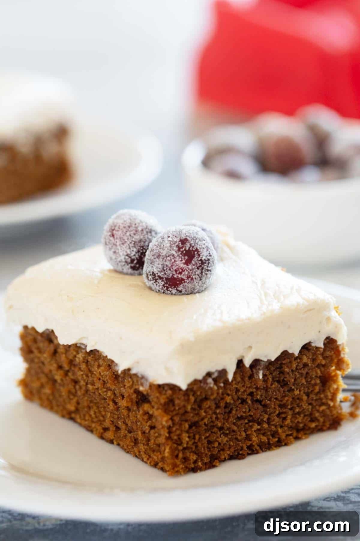 A delicious slice of Gingerbread Cake adorned with Brown Sugar Cream Cheese Frosting and sugared cranberries.