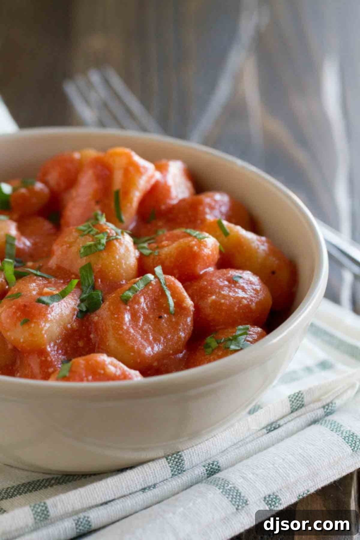 A beautiful bowl of Ricotta Gnocchi with Tomato Sauce, garnished with fresh basil.